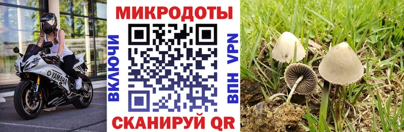 OMG ТОР  Верхняя Тура  Галлюциногенные грибы Cubensis 
